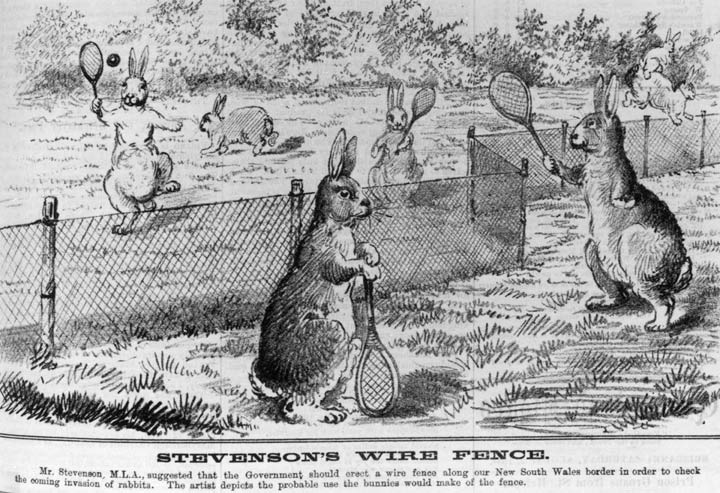 Rabbit fence cartoon, 1884